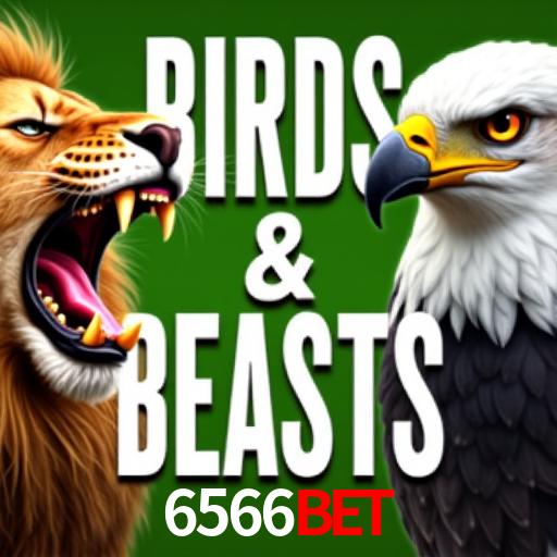 6566BET APP